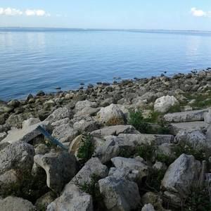 Meet your Posher, Luz